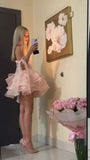 Cute Ball Gown Spaghetti Straps Organza Pink Mini Short Formal 8th Grade Homecoming Dresses Summer Middle School Hoco Dress Homecoming Outfits Birthday Outfit HZ1121