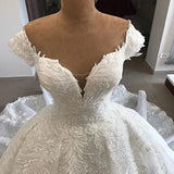 Unique Bridal Gown Ball Gown Off The Shoulder White Short Sleeves Lace Wedding Dresses Pretty Bridal Gowns HZ1121