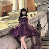 Goth Ball Gown Spaghetti Straps Grape Gotica Formal 8th Grade Homecoming Dresses Middle School Cocktail Dress Hoco Outfits Lolita Dress HZ1121