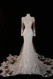 Timeless Bridal Gown Mermaid V Neck Long Sleeves Lace Long Wedding Dresses Elegant Brides Gowns HZ1121