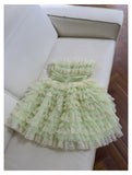 Cute Ball Gown Spaghetti Straps Mint Green Short Homecoming Dress Summer Middle School Formal 8th Grade Hoco Dresses Summer Homecoming Outfits HZ1121