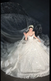 Elegant Strapless Ball Gown Tulle Beaded Wedding Dress, White Bridal Gowns HZ1121