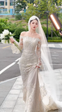 Elegant Off-the-shoulder Sheath Wedding DressesTulle Applique Ivory Bridal Gowns HZ1121