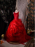 Fairy Jewel Ball Gown Tulle Long Prom Dresses Burgundy Quinceanera Dresses Sweet 16 Dress HZ1121