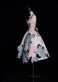Fairy Chicken Heart A-Line Short Prom Dress with Appliqu¨¦, Pink Birthday Dress HZ1121