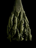 Elegant Glamour Ball Gown Strapless Olive Green Taffeta Long Prom Dresses Party Dress Evening Dress HZ1121