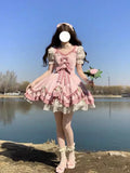 Sweet Ball Gown Lolita Outfits Short Sleeves Pink 16th Birthday Dress Lolita Summer Dress Birthday Outfits HZ1121