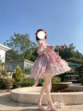 Vintage Ball Gown Pink Tulle 22th Birthday Dress Mini Lolita Dress Short Lolita Outfits HZ1121