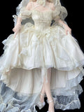 Beautiful High Low Off The Shoulder Short Sleeves Beige Rose Floral 16th Chiffon Birthday Dress Lolita Dress 18th Birthday Outfits HZ1121