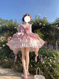 Vintage Ball Gown Pink Short Mini Summer 18th Birthday Dress Lolita Dress Birthday Outfits HZ1121