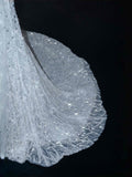 Vintage Mermaid Silver Gray Sequins Long Prom Dress Party Dress Graduation Dresses Birthday Outfits HZ1121