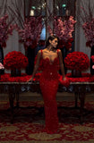 Modest Sheath Straps Red Sequin Formal Gown 23rd Birthday Dress Prom Dresses 20th Birthday Outfits HZ1121