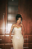 Classy Mermaid Sweetheart Champagne Sleeveless Sequin Long Prom Dresses Party Dress Birthday Outfits Graduation Dresses HZ1121