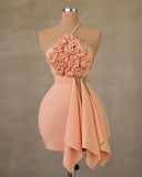 Pretty Sheath Halter Blush Pink Summer 16th Birthday Dresses For Teens Hoco Dress Mini 21st Birthday Outfit Cocktail Dresses For Women HZ1121