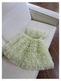 Trendy Ball Gown Spaghetti Straps Mint Green Sleeveless Formal Short 8th Grade Homecoming Dress Summer Middle School Hoco Dresses Cocktail Dress Birthday Outfits HZ1121