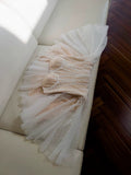 Cute A line Spaghetti Straps Champagne Formal Short 8th Grade Homecoming Dress Summer Middle School Hoco Dresses Birthday Outfits HZ1121